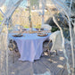 Luxury Igloo Geo-Dome Hire South Wales - Fully Dressed to your theme