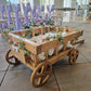 Wedding Wagon, children's mini cart, dog wagon for weddings and events