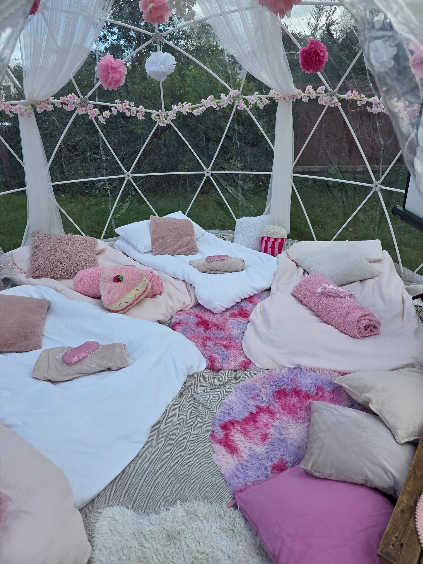 Pink Dream Luxury Igloo Geo-Dome Hire South Wales - Sleepover party