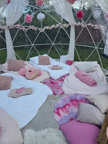 Pink Dream Luxury Igloo Geo-Dome Hire South Wales - Sleepover party