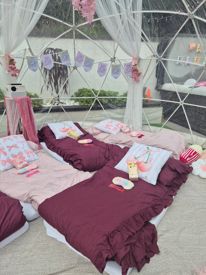 PLouise  Luxury Igloo Geo-Dome Hire South Wales - Sleepover party
