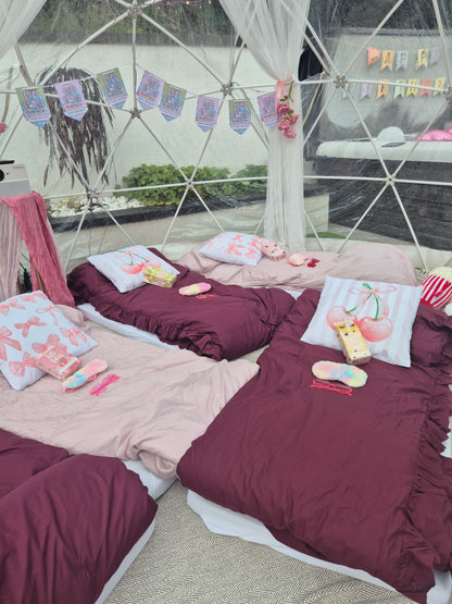 PLouise  Luxury Igloo Geo-Dome Hire South Wales - Sleepover party