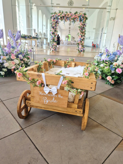 Wedding Wagon, children's mini cart, dog wagon for weddings and events