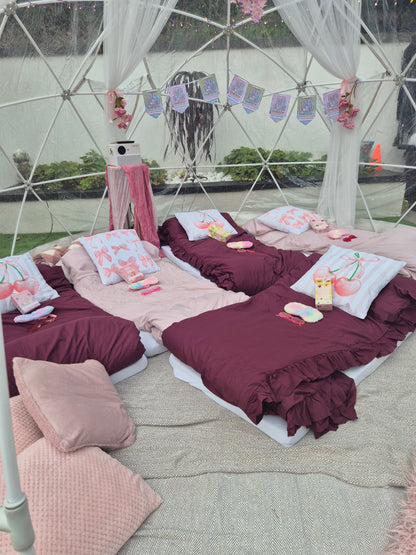PLouise  Luxury Igloo Geo-Dome Hire South Wales - Sleepover party